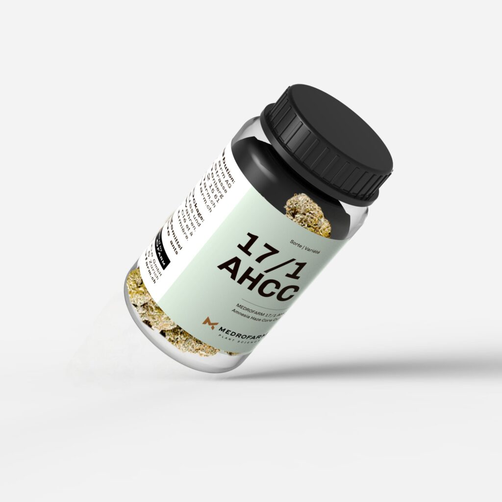 Medicinal cannabis flower Medrofarm AHCC 17/1 packed in a can.